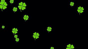 Clover, shamrock falling on alpha channel. Rain of clovers. Thousands of clovers across the screen video