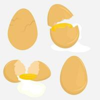 Different Cracked egg collection vector