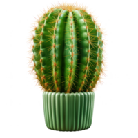 Cactus isolated. Illustration png