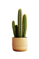 cactus in a ceramic vase. png