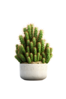 cactus in a ceramic vase. png