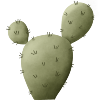 The cactus has green spikes. Designed for digital use, design, web design, reports, worksheets, templates. png