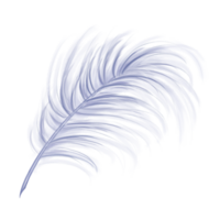 Elegant fluffy bluish feather of a swan, goose. Decorative element for theatrical costumes, carnival outfits, hats, bouquets of flowers and souvenirs. Digital illustration png