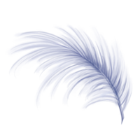 Elegant fluffy bluish feather of a swan, goose. Decorative element for theatrical costumes, carnival outfits, hats, bouquets of flowers and souvenirs. Digital illustration png