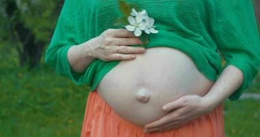 Pregnant woman enjoying time outdoor video