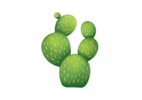 cut out Cute green Mexican cactus. Hand drawn botanical illustration isolated on transparent background. Succulent clipart for scrapbooking, cards, prints about nature and deserts png