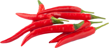 isolated red chilli on transparent background. png