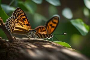 two butterflies are sitting on a branch. AI-Generated photo