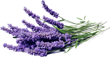 Lavender png with AI generated.