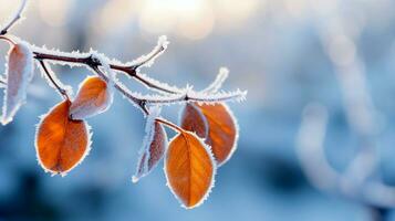 AI Generated Branch with FrostCovered Dry Autumn Yellow Leaves on Blurred Winter Background. Late Fall. Morning Time. AI Generative photo