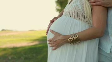 The child kisses and strokes the belly of a pregnant mother. video