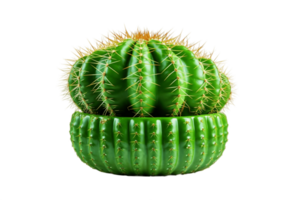 AI generated Cactus on Transparent Background. AI png