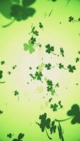 Vertical video - Saint Patrick's Day background - falling green shamrocks.