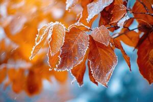 AI generated Orange beech leaves covered with frost in late fall or early winter. photo