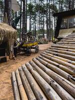 abandoned wooden village photo