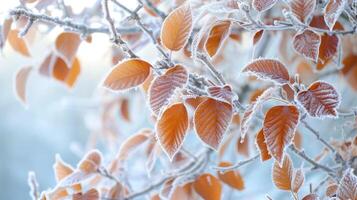 AI generated Winter's touch adorns tree leaves in frost, a delicate icy elegance emerges, Ai Generated. photo