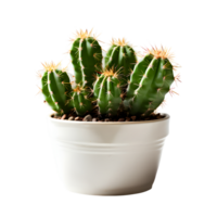 AI generated House parlor plant Mini Cactus plant in modern pot or vase isolated on transparent background generative ai png