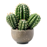 AI generated Cactus in pot isolated on transparent background png