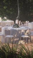 empty wicker table and chair in outdoor restaurant forest garden video