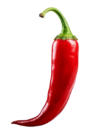 chili pepper isolated on transparent background png