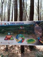 pine forest information sign in Mount Merbabu National Park photo