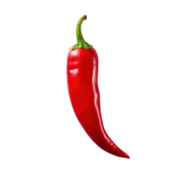 Close up Single Ripe Red Chili Pepper. Isolated on Background png