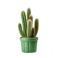 Decorative Green Cactus In Green Ceramic Pot. Isolated on Background png