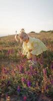 Little child girl picking wild flowers with evening sunlight video