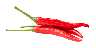 Side view of fresh red chili pepper in stack isolated with clipping path in file format png