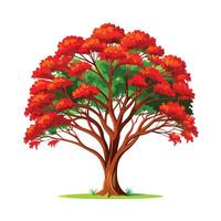 Beautiful Single Big Tree Illustration vector