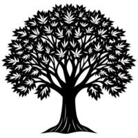 High resolution tree, Tree leaf, Cartoon tree vector