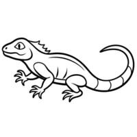 Chuckwalla iguana runs icon vector