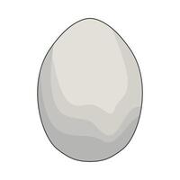 illustration of boiled egg vector