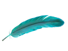 Blue Feather with a Transparent Background, a Perfect Design Element for Any Project png