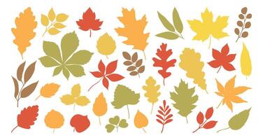 Set of silhouettes of different tree leaves, oak, maple, chestnut. Simple, yellow, red, orange fall leaves for pattern, banner, sticker, Hallo autumn card. Flat illustration on white background vector