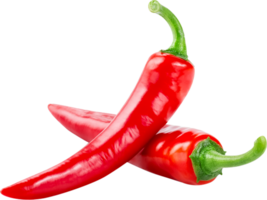 Two red hot chili spicy close up png