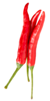 Top view of fresh red chili peppers or cayenne peppers in stack isolated with clipping path in file format png