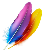 Vibrant feathers on a white background, cut out - stock . png