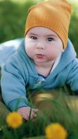 Lovely baby in blue overall and orange cap lies on his belly. Boy resting on the pillow in the green grass. Vertical video