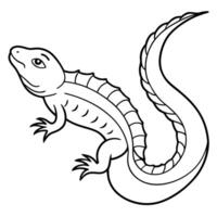 a caiman lizard swimming with a strong tail and detailed scales, illustration line art vector