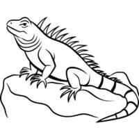 a black spiny-tailed iguana basking on a rock, with sharp spines along its tail, vector