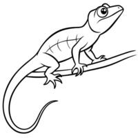 a green anole with its dewlap extended, perched on a branch, illustration line art vector