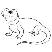 reptile, illustration line art vector