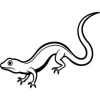 a whiptail lizard running across the ground, with a long, slender tail, illustration line vector