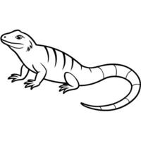 a desert iguana basking in the sun, with smooth skin and a long tail, illustration line art vector