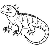 line art of a lizard, illustration line art vector