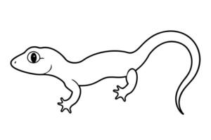 A gecko is outlined in black and white vector