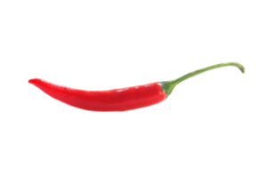 red chilli transparent background png