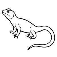 lizard line art illustration one white background, illustration line art vector