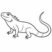 A Simple line Art Drawing Of A Beautiful Iguana illustration vector